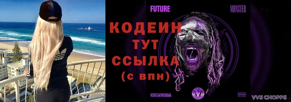 ГАЛЛЮЦИНОГЕННЫЕ ГРИБЫ Аркадак