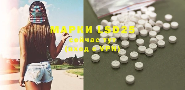ГАЛЛЮЦИНОГЕННЫЕ ГРИБЫ Аркадак