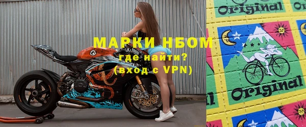ГАЛЛЮЦИНОГЕННЫЕ ГРИБЫ Аркадак