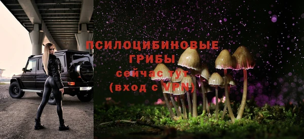 ГАЛЛЮЦИНОГЕННЫЕ ГРИБЫ Аркадак