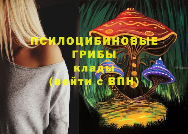 ГАЛЛЮЦИНОГЕННЫЕ ГРИБЫ Аркадак