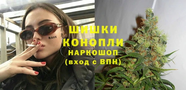ГАЛЛЮЦИНОГЕННЫЕ ГРИБЫ Аркадак