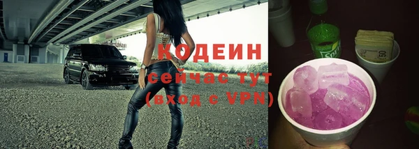 ГАЛЛЮЦИНОГЕННЫЕ ГРИБЫ Аркадак