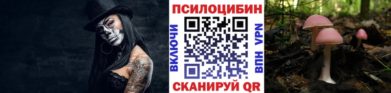 наркота  Родники  Псилоцибиновые грибы прущие грибы 